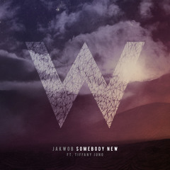Somebody New (ft. Tiffani Juno)(Digital Soundboy)