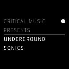 Halogenix - Maniac - Critical Underground Sonics LP