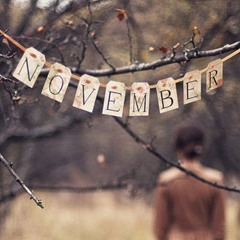 November (karya paranoda)