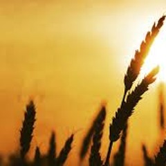 I-ve Never Seen The Righteous Forsaken-cloverdale bibleway
