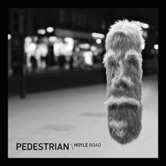 Pedestrian - Hoyle Road (Drew Hill Remix)