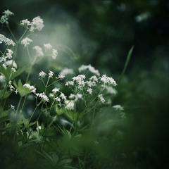 Panalangin Ng Mapagpakumbaba by Akimi Uy