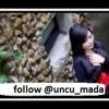 Download Eno Viola _ Pisau Bamato Angin Eno Viola _ Pisau Bamato Angin