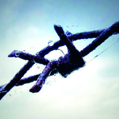 Shortcut Clip: Pinocchio