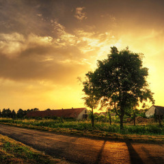 No Name [Ger] - Jan 2014