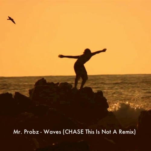 Mr probz waves remix free mp3 download