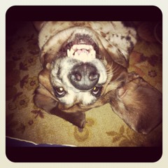 darkpsy,fordert,psycore