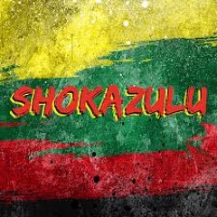 Shokazulo - Hips Dont Fail Me Now
