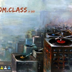 Fly In The Sky (original mix)  (com.class records)