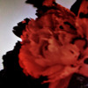 John Legend - All Of Me (Tiësto's Birthday Treatment Mix) Exclusive Free !! By : Trance Music ♥