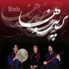 آتش - حسین علیزاده، هما نیک‌نام