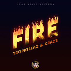 Fire (Tropkillaz & CRAZE)