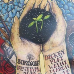 Mr. Whale - Sundaise Festival 2013