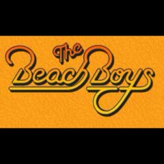 The Beach Boys Medley / Stars on 45