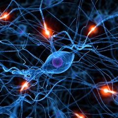 Orko - Neuroscience (preview)