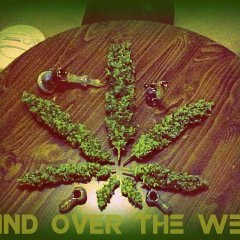 Benny Page Vs Rupelsoldaten- Turn In The Weed(m0rphexx Blend)