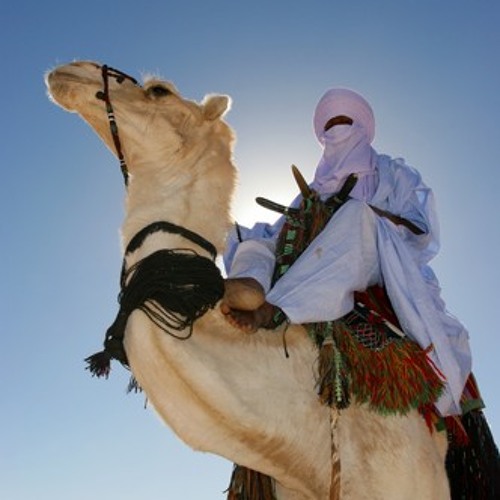 дуров и хамдан. забавные арабы. принц на верблюде. принц верблюд. хамдан аль мактум с верблюдами.