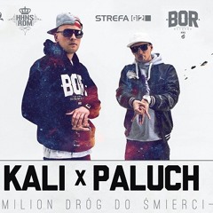 Kali & Paluch - Whiskey Haze (prod.Donatan)