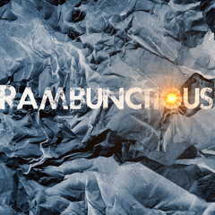 Rambunctious 2013-2014
