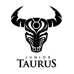 Soulmate (Original Mix)