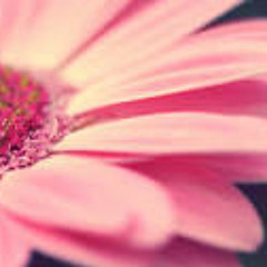 موسيقى نسم علينا الهوى