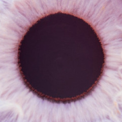 Heritage VIII - Gaze (with Iohannes & Faerytale)