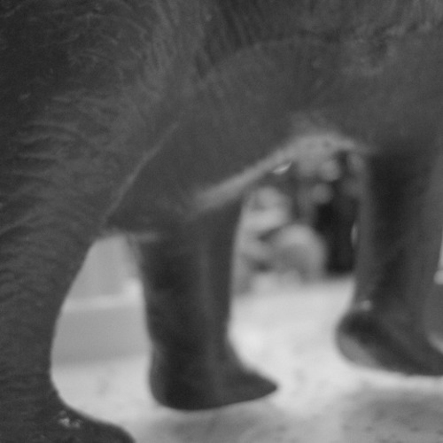 Tiny Thoughts - theMEANIES (2008)