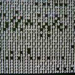 f1rst s0urce - Homosapien Stasis