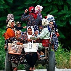 احمد عاشورپور-بیجارکاره/اوهوی مار