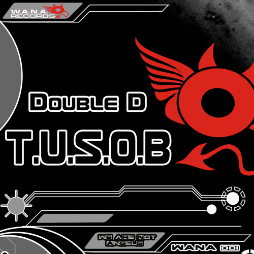 Double D - T.U.S.O.B ( Original Mix )