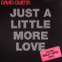 Just A Little More Love (DJ Tom T & Misha Evanz Remix)