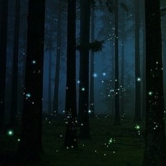 Nocturnal Creatures (MF DOOM x CAGE KENNYLZ) Sundown Mix