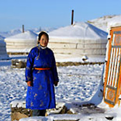 Mongolian Times