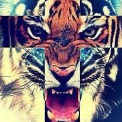 Roar (REMIX)