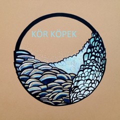 Kör Köpek - Boş Yataklar