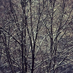 Snow-blind And Disappear (An Imaginal Space Ft The Hadron Colliders)