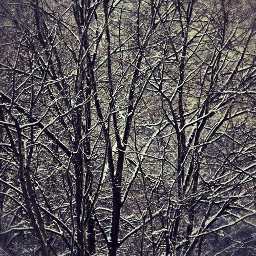Snow-blind And Disappear (An Imaginal Space Ft The Hadron Colliders)