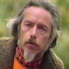 Alan Watts Nature Is Wiggly