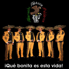 Canción Del Mariachi (Desperado)