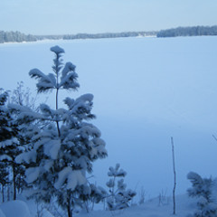 Someday At Christmas (Jack Johnson Cover)