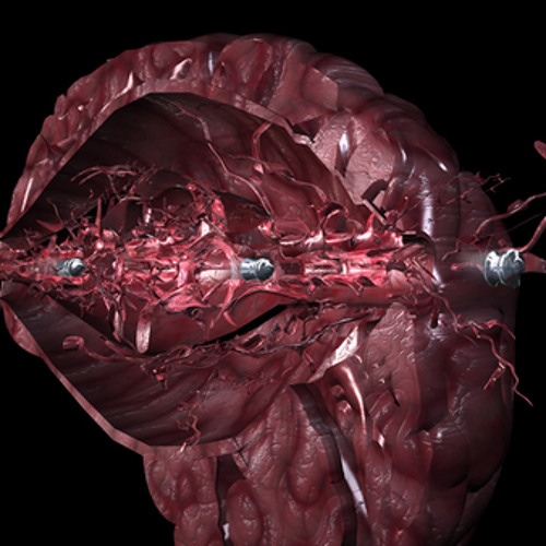 Shamanic Mania - Psytrance/Darkpsy - VA Mix