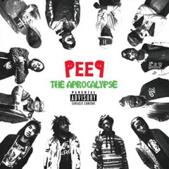 Pro Era - Interlude 47