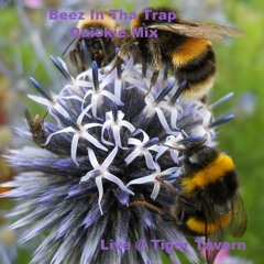 Beez In Tha Trap Quickie Mix