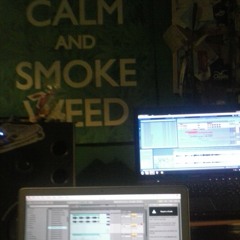 RAQ & LUX - Liście Palę