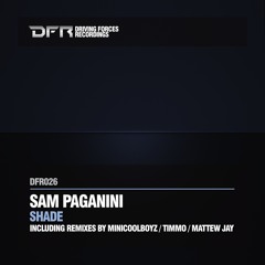 Sam Paganini - Shade (Timmo Remix)