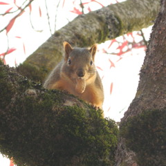 Bob Heye In Da Club (EML 4)