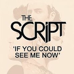 The Script - If You Could See Me Now