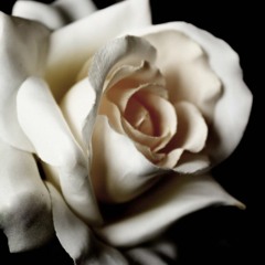 Dark Waltz - Hayley Westenra[Edited]
