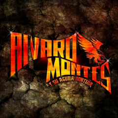 Alvaro Montes Mix 2014 Drops