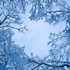Snow (ReDominator Synth Song Challenge)